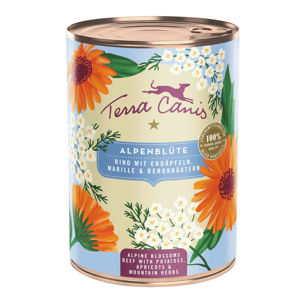 テラカニス フラワーメニュー アルプスフラワー