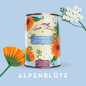 テラカニス フラワーメニュー アルプスフラワー