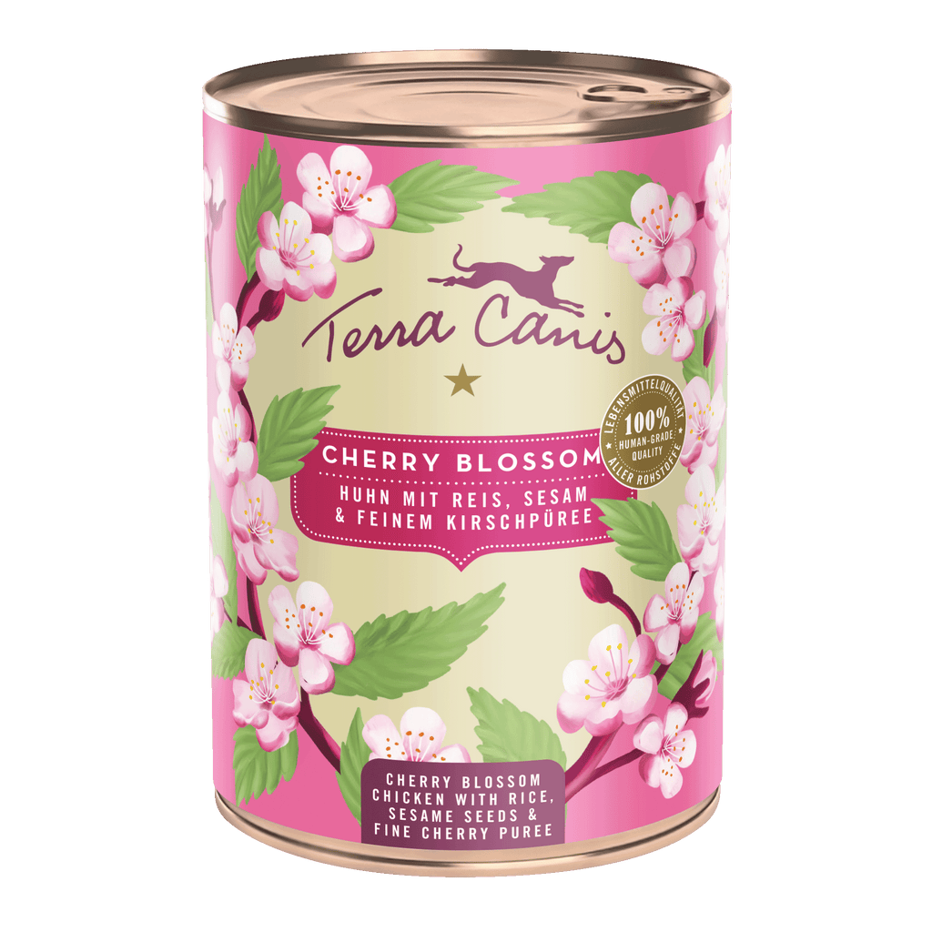 テラカニス フラワーメニュー チェリーブロッサム