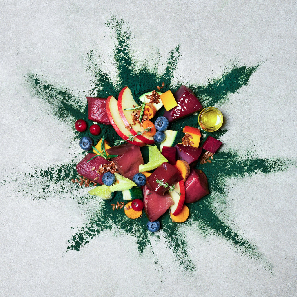 テラカニス ネイチャーハウンド ビーフ＆鹿肉 パンプキン＆アップル