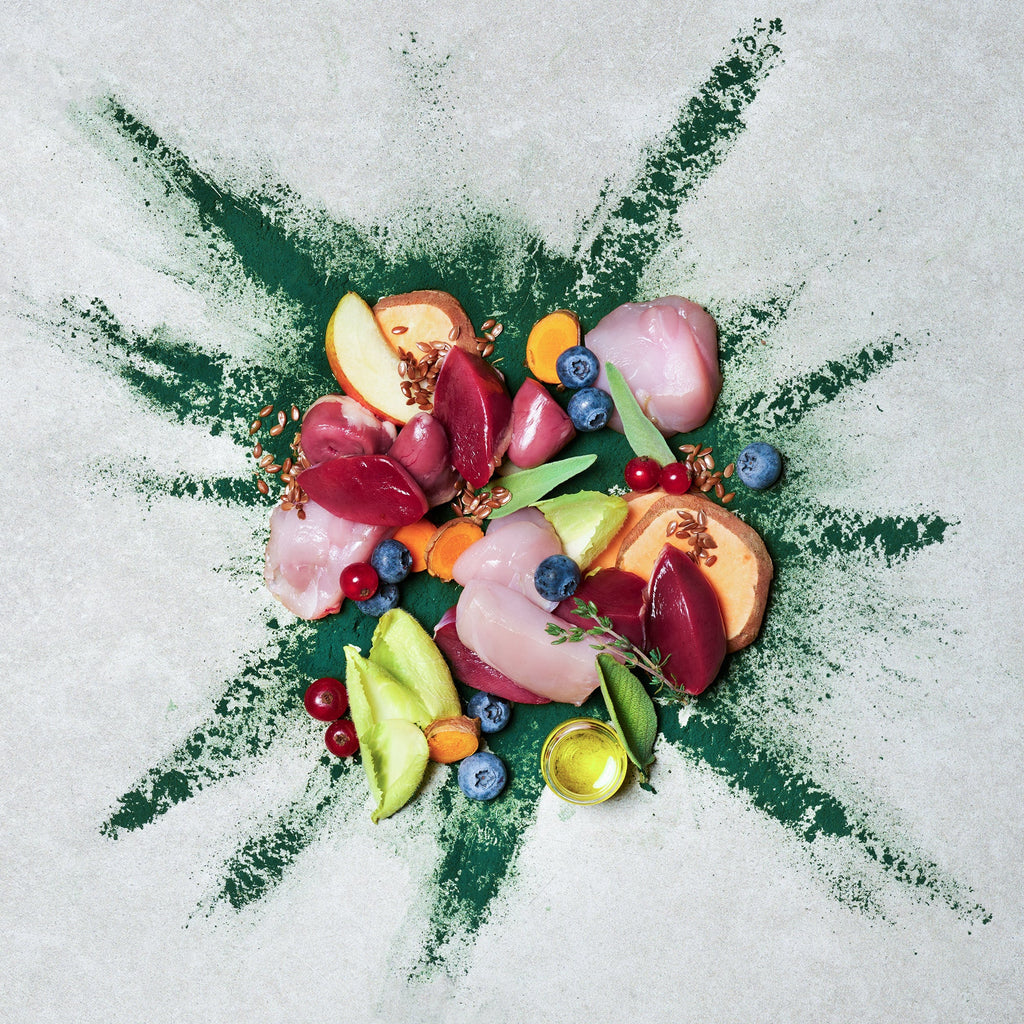 テラカニス ネイチャーハウンド チキン＆ラビットスウィートポテト＆梨