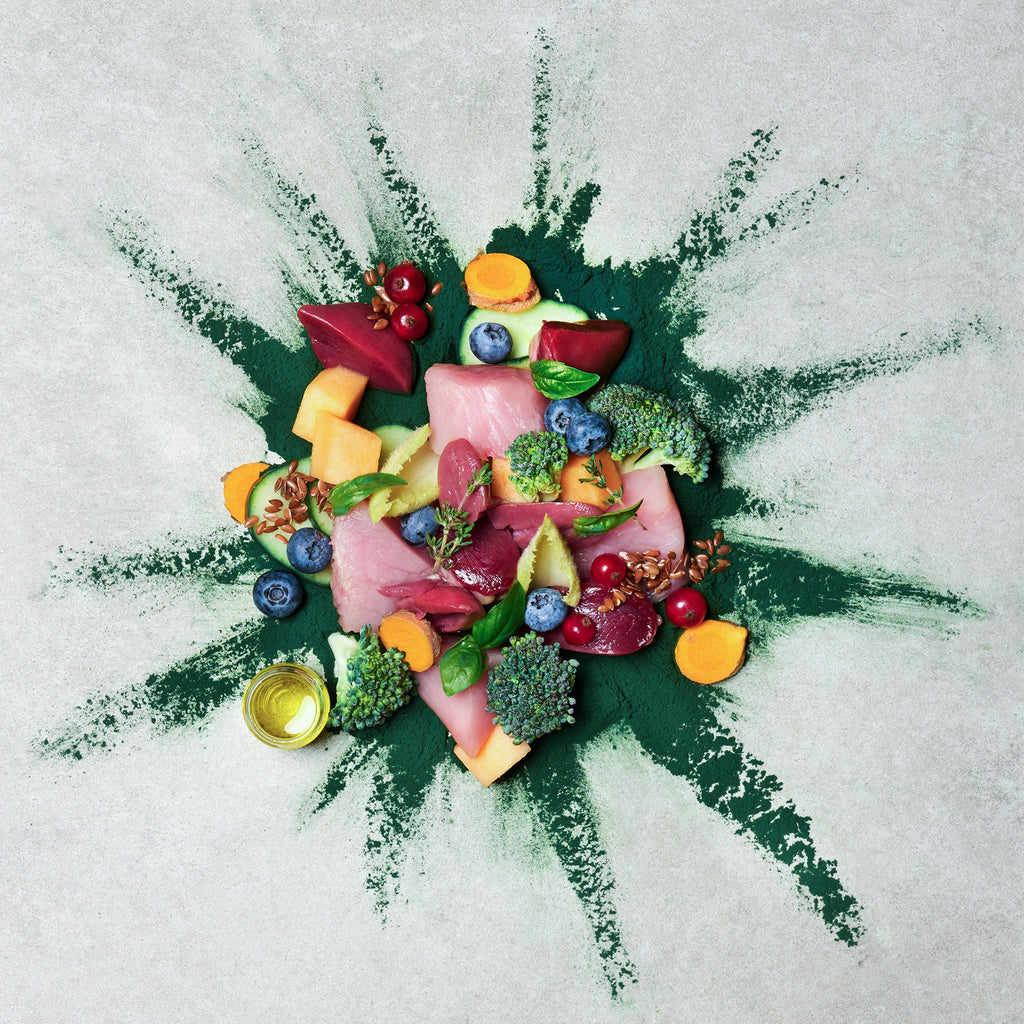 テラカニス ネイチャーハウンド ターキー＆ダック ブロッコリー＆メロン