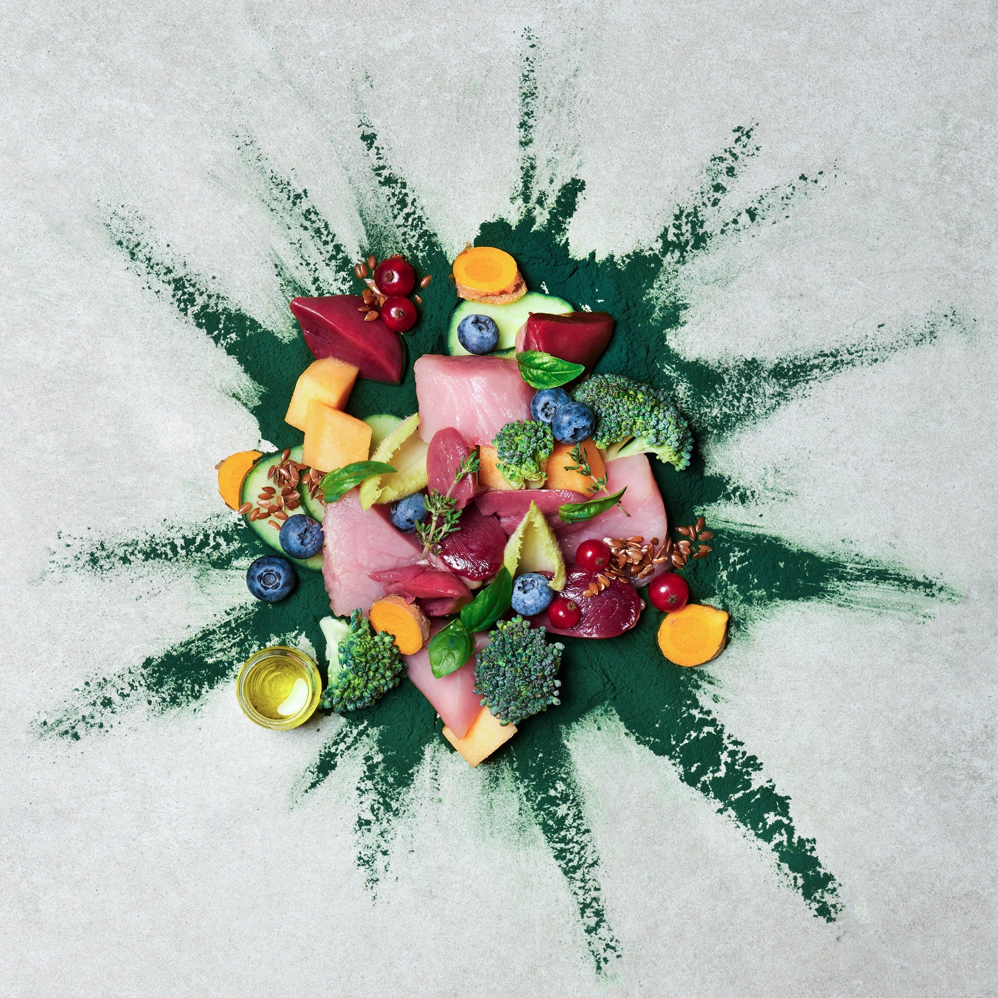 テラカニス ネイチャーハウンド ターキー＆ダック ブロッコリー＆メロン