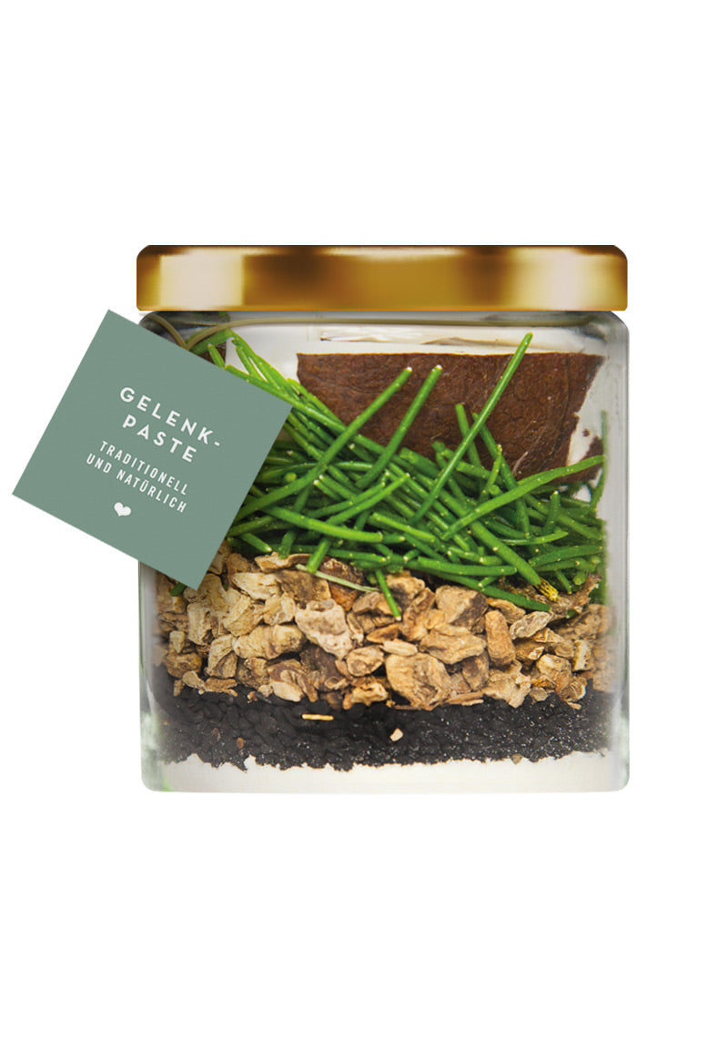 テラカニス ジョイントペースト250ml