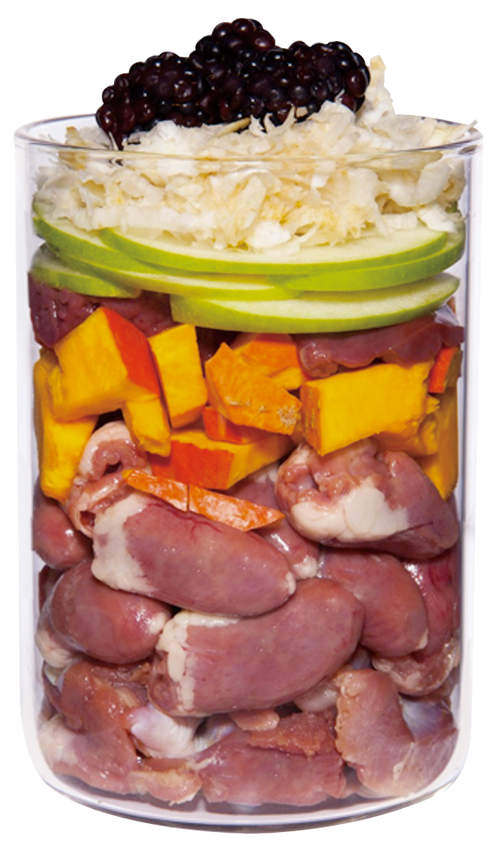 テラカニス グレインフリー チキン200g