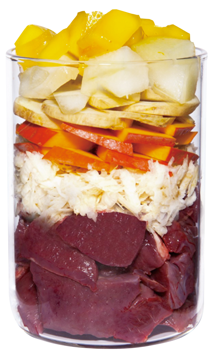 テラカニス グレインフリー 仔牛肉200g