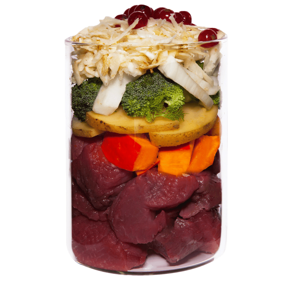 テラカニス ローミネラル馬肉400g