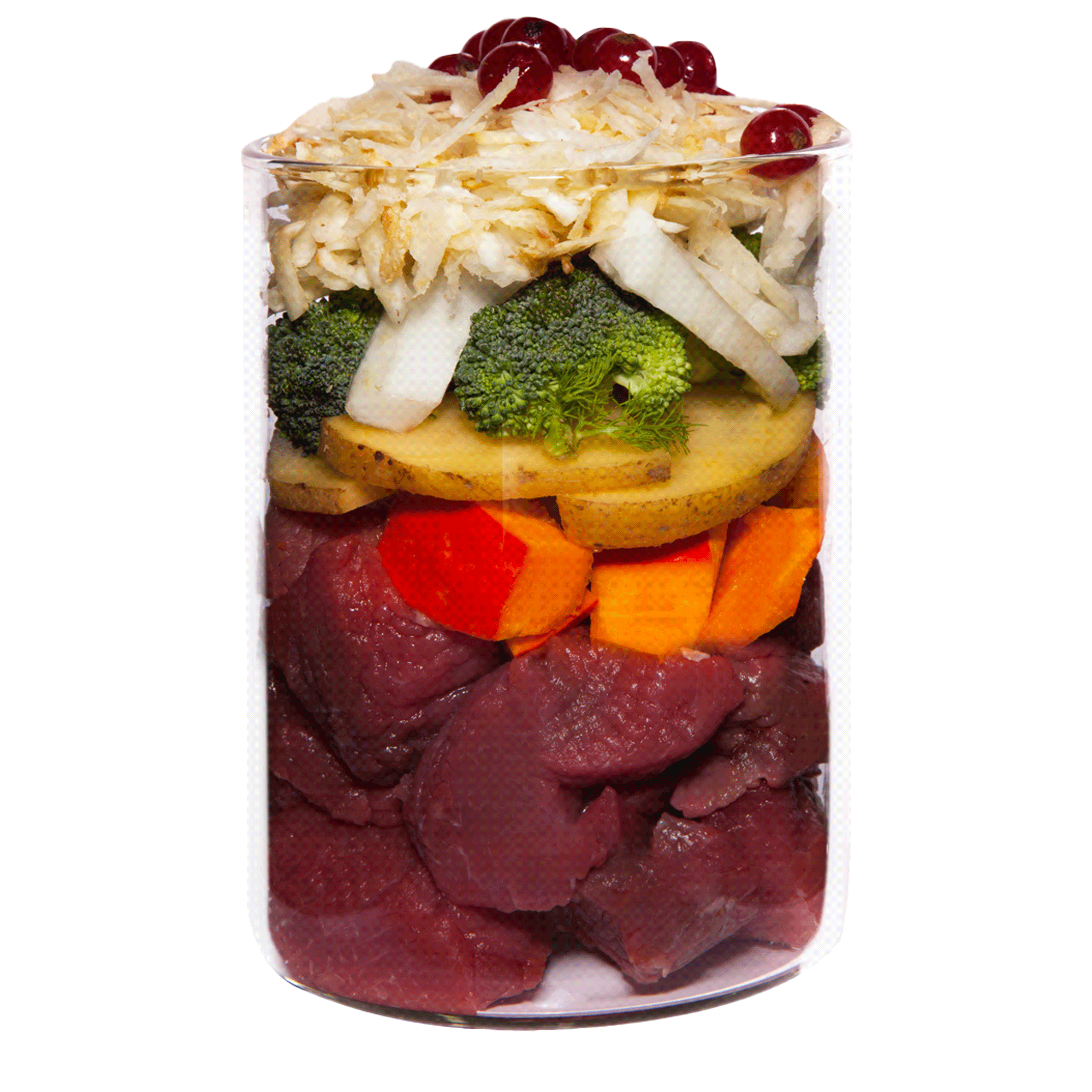 テラカニス ローミネラル馬肉400g