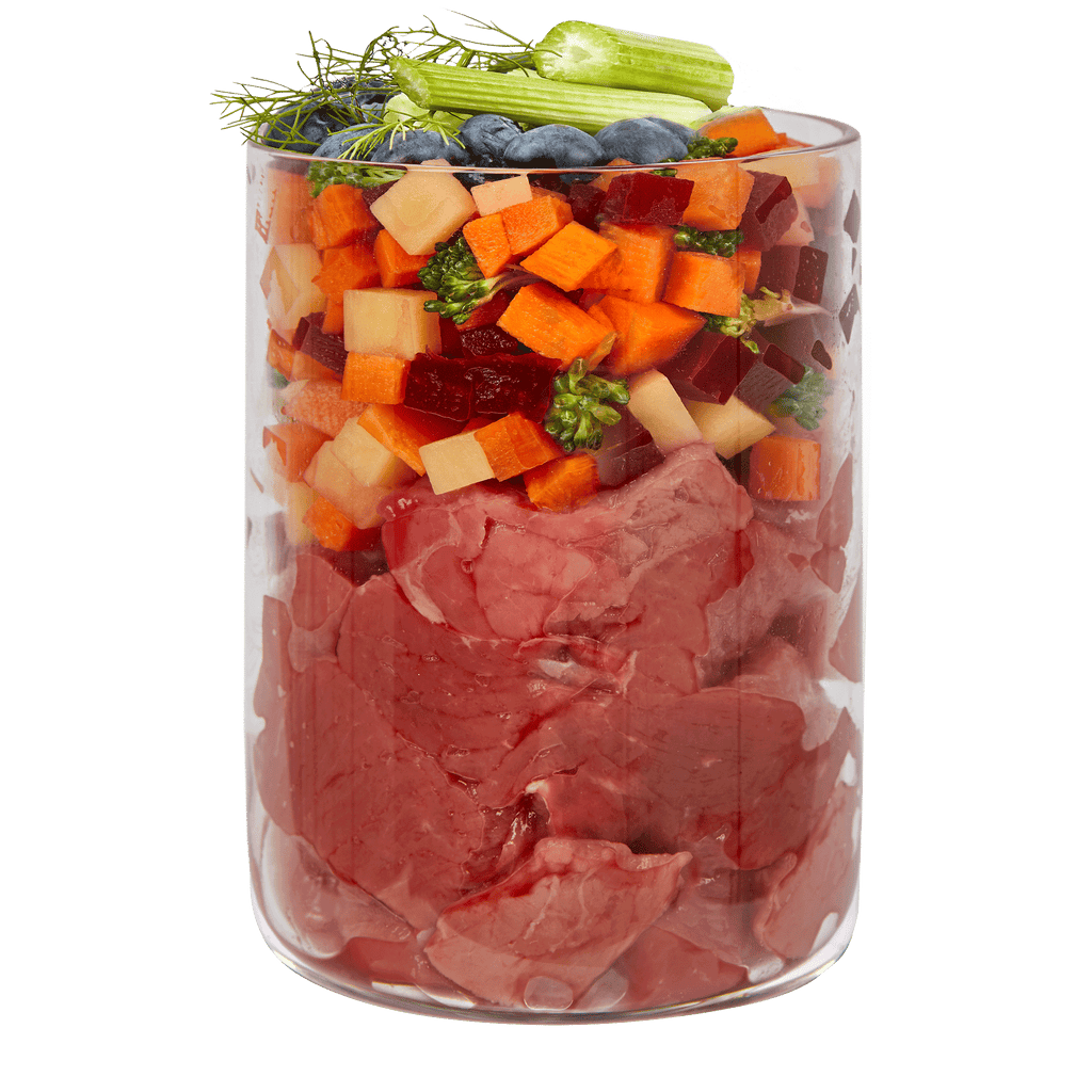 テラカニス マーケットラグー ビーフ385g