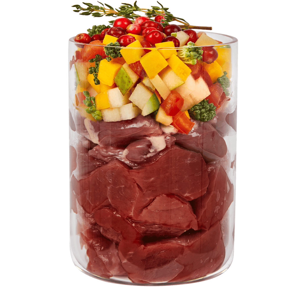 テラカニス マーケットラグー 鹿肉＆チキン385g