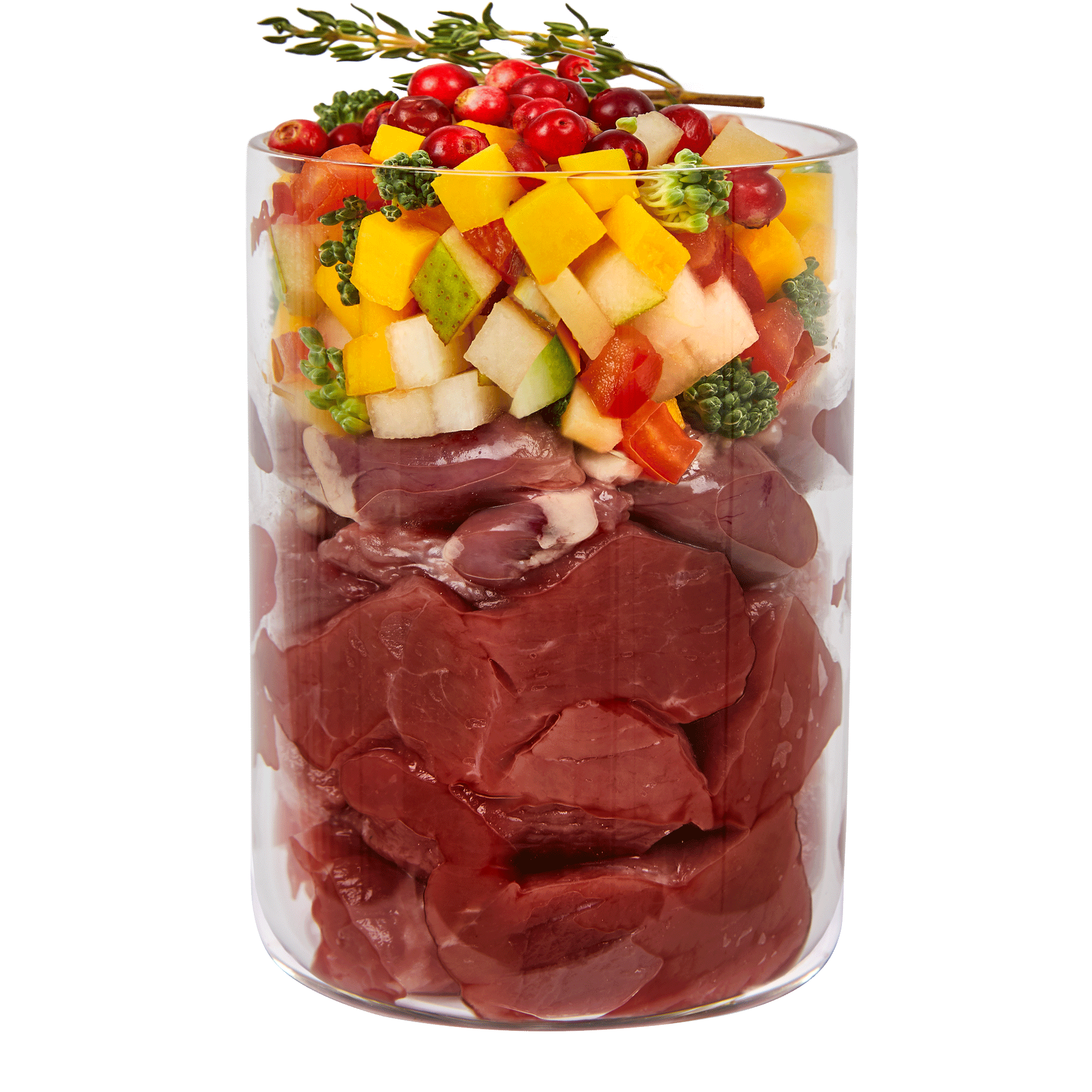 テラカニス マーケットラグー 鹿肉＆チキン385g