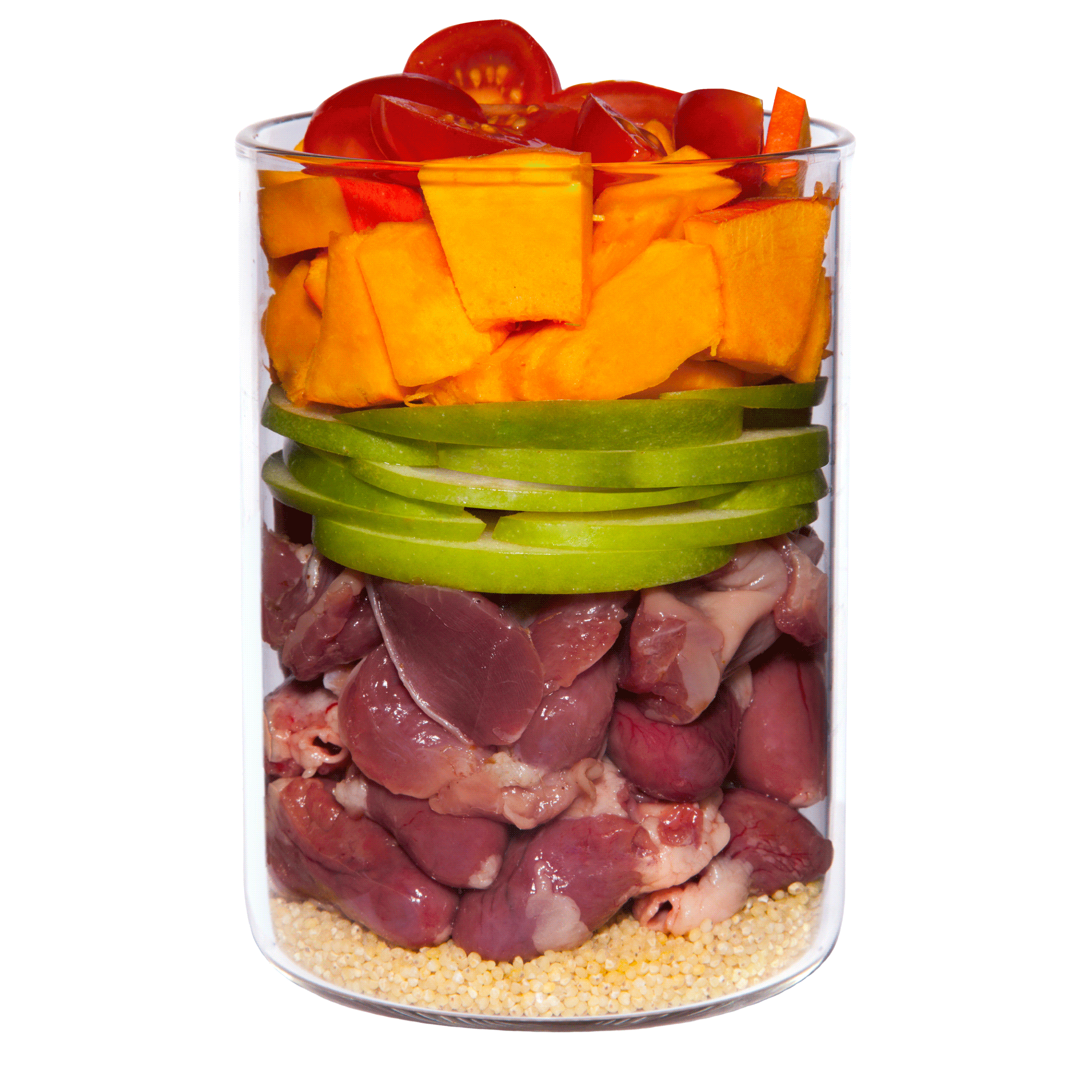 テラカニス パピーチキン400g